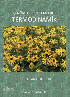 Çözümlü Problemlerle Termodinamik