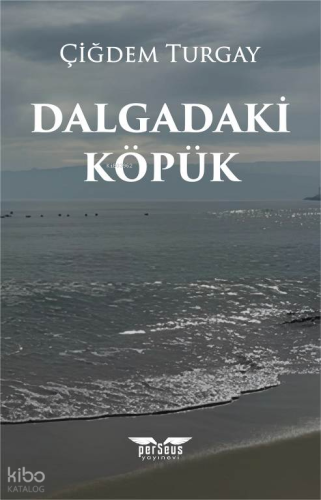 Dalgadaki Köpük
