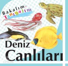 Deniz Canlıları; Bakalım Tanıyalım,3-6 Yaş