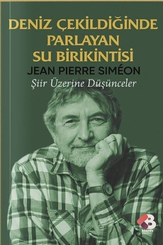 Deniz Çekildiğinde Parlayan Su Birikintisi - Şiir Üzerine Düşünceler -