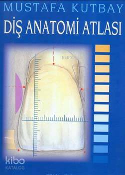 Diş Anatomi Atlası