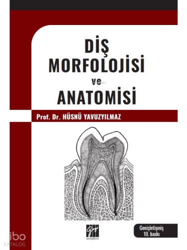 Diş Morfolojisi Ve Anatomisi