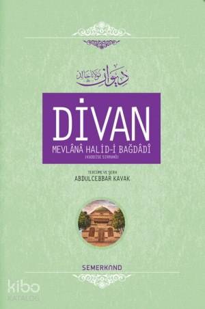 Divan Mevlânâ Halid-i Bagdâdî (Ciltli)