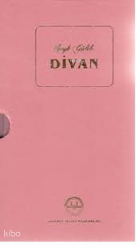 Divan-Şeyh Galib-Kutulu