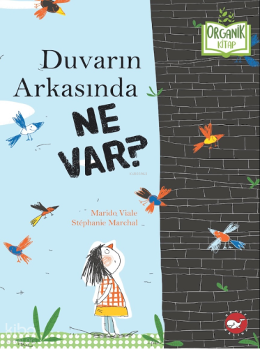 Duvarın Arkasında Ne Var?