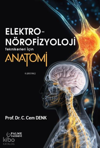 Elektro-Nörofizyoloji Teknikerleri İçin Anatomi