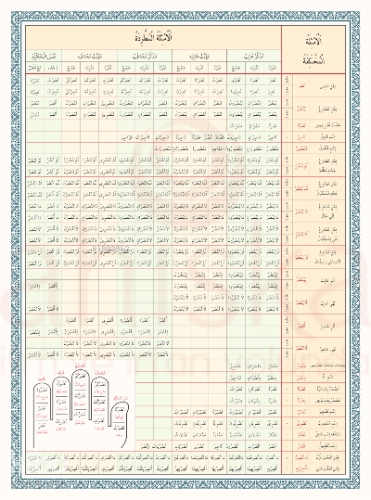 Emsile Bina Şeması Renkli