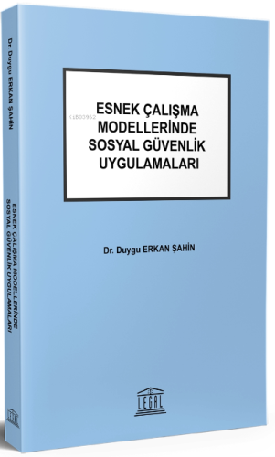 Esnek Çalışma Modellerinde Sosyal Güvenlik Uygulamaları - Kitapiks.com