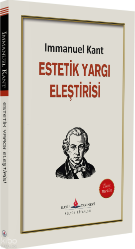 Estetik, Yargı, Eleştirisi