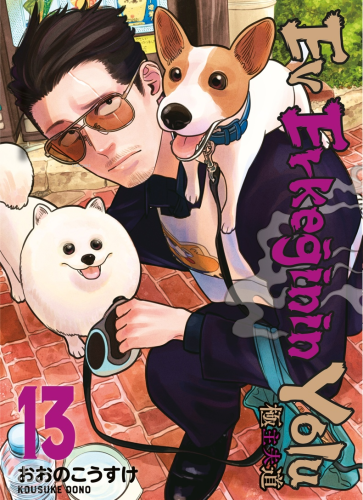 Ev Erkeğinin Yolu 13. Cilt