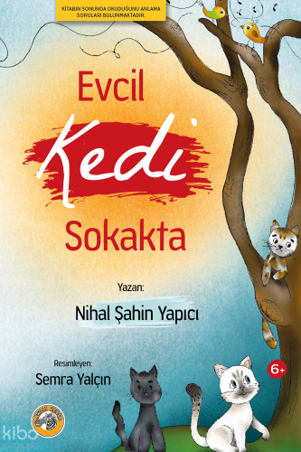 Evcil Kedi Sokakta
