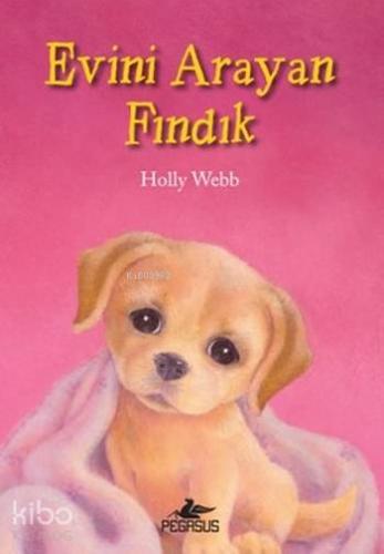 Evini Arayan Fındık