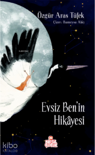 Evsiz Ben'in Hikâyesi