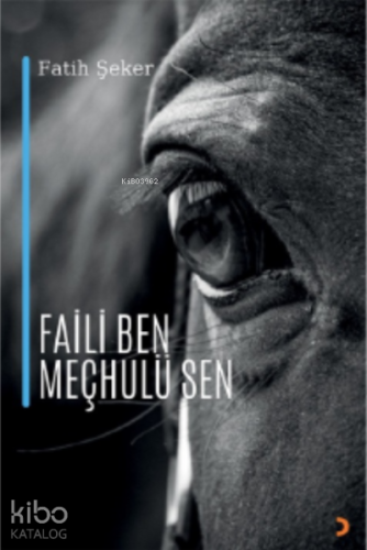 Faili Ben Meçhulü Sen - Kitapiks.com
