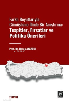 Farklı Boyutlarıyla Gümüşhane İlinde Bir Araştırma Tespitler