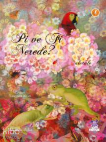 Fi ve Pi Nerede?