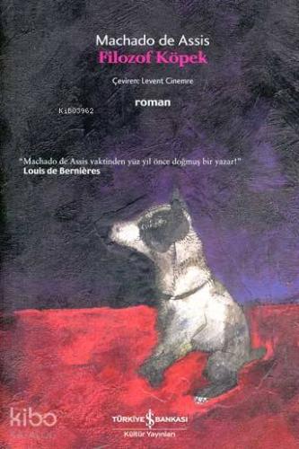 Filozof Köpek