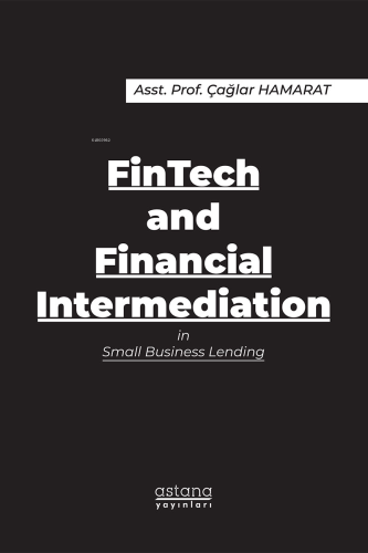 FinTech and Financial Intermediation in Small Business Lending - Kitap