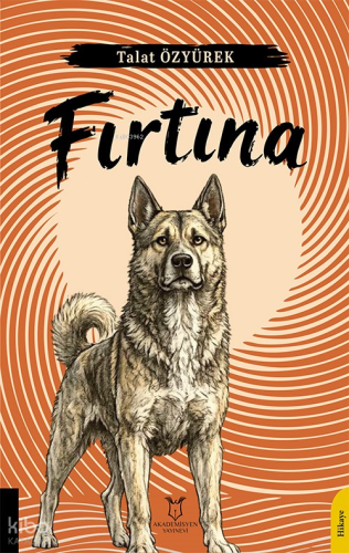 Fırtına