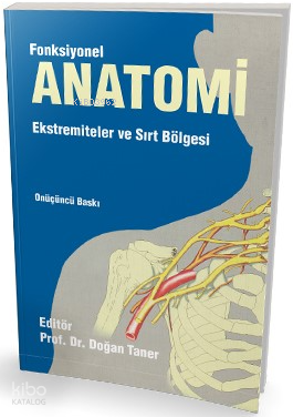 Fonksiyonel Anatomi Ekstremiteler ve Sırt Bölgesi