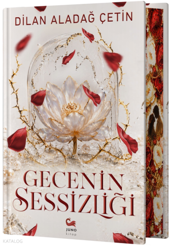 Gecenin Sessizliği (Ciltli)