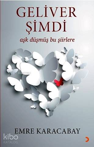 Geliver Şimdi; Aşk düşmüş bu şiirlere