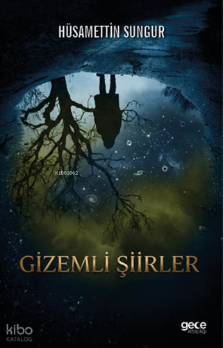 Gizemli Şiirler