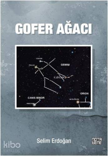 Gofer Ağacı