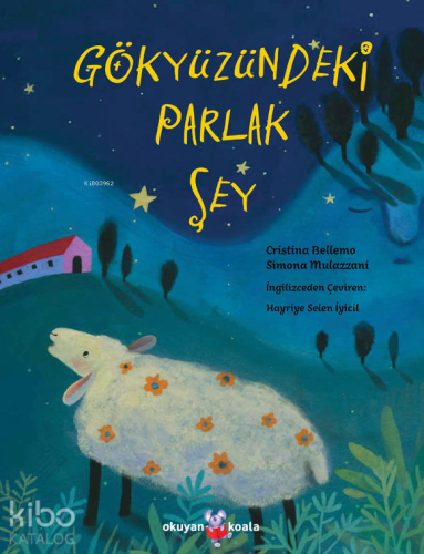 Gökyüzündeki Parlak Şey - Kitapiks.com