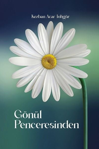 Gönül Penceresinden