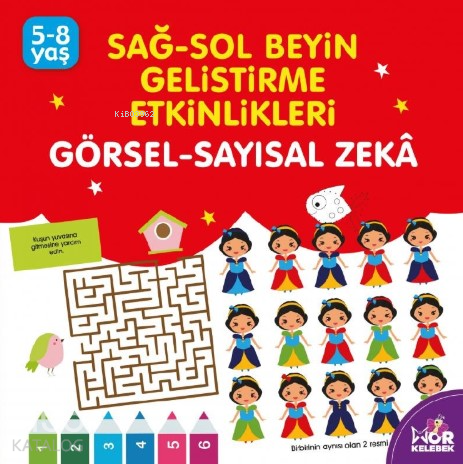 Görsel Sayılsal Zeka