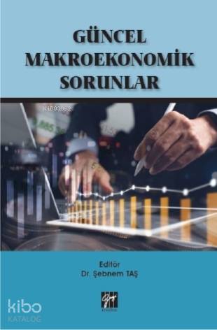 Güncel Makroekonomik Sorunlar - Kitapiks.com