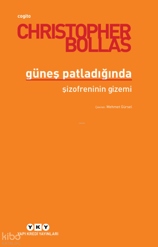 Güneş Patladığında Şizofreninin Gizemi