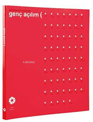 Günümüz Türk Sanatında Genç Açılım