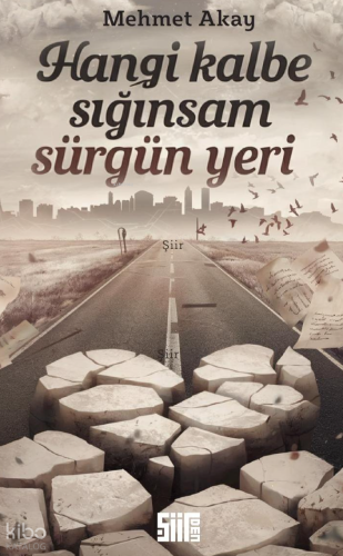 Hangi Kalbe Sığınsam Sürgün Yeri