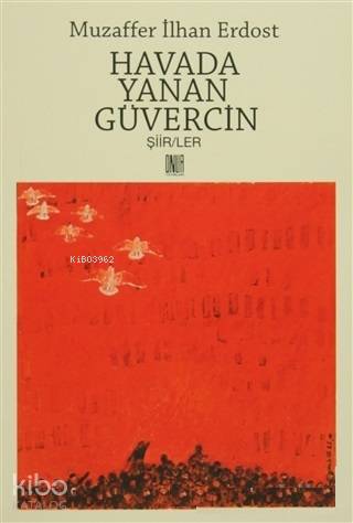 Havada Yanan Güvercin