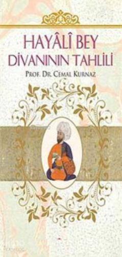 Hayali Bey Divanının Tahlili