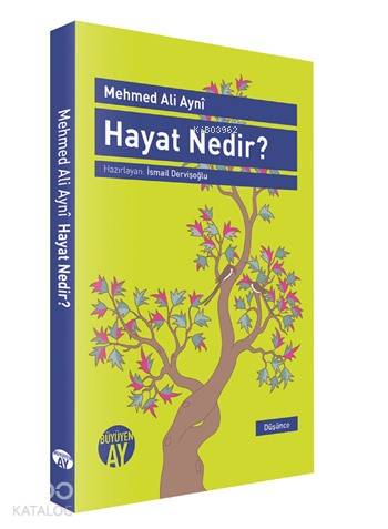 Hayat Nedir?