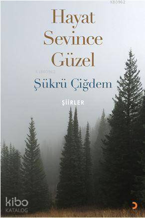 Hayat Sevince Güzel - Kitapiks.com