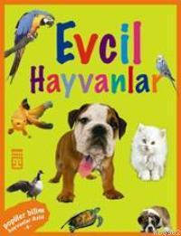 Hayvanlar Dizisi - Evcil Hayvanlar