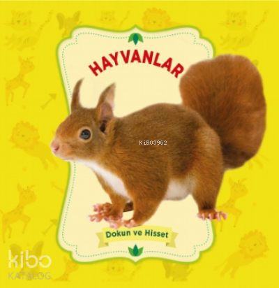 Hayvanlar – Dokun Ve Hisset