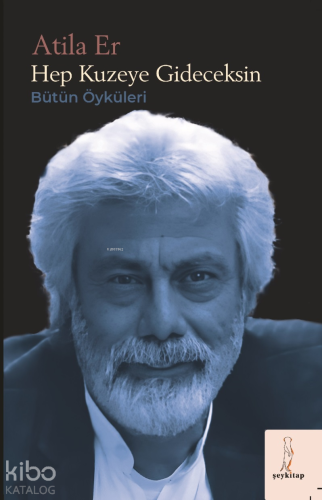 Hep Kuzeye Gideceksin;Bütün Öyküler - Kitapiks.com