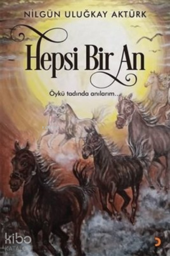Hepsi Bir An