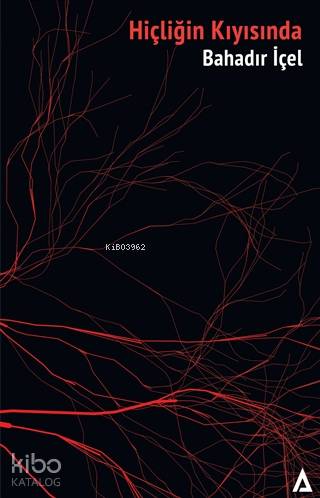 Hiçliğin Kıyısında