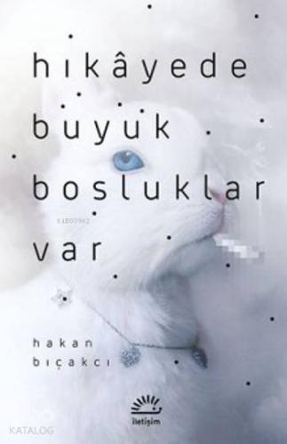 Hikayede Büyük Boşluklar Var - Kitapiks.com