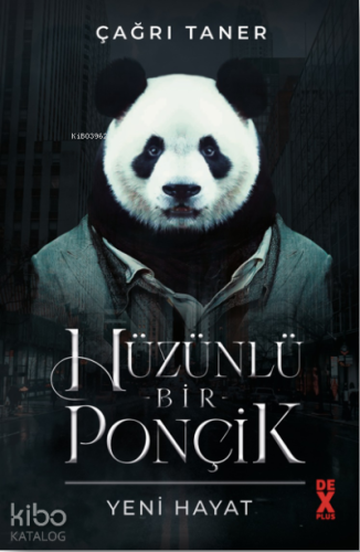 Hüzünlü Bir Ponçik;Yeni Hayat