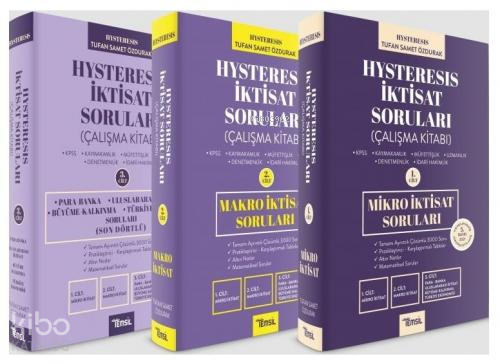 Hysteresis İktisat Soruları Seti