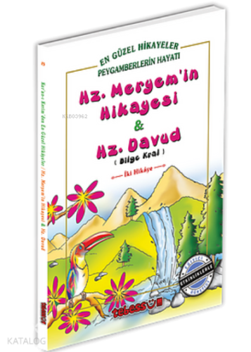 Hz. Meryem'in Hikayesi ve Hz. Davud