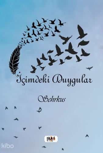 İçimdeki Duygular