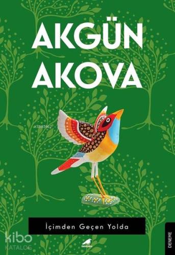 İçimden Geçen Yolda